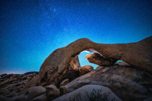 BFP_5004 copy 2